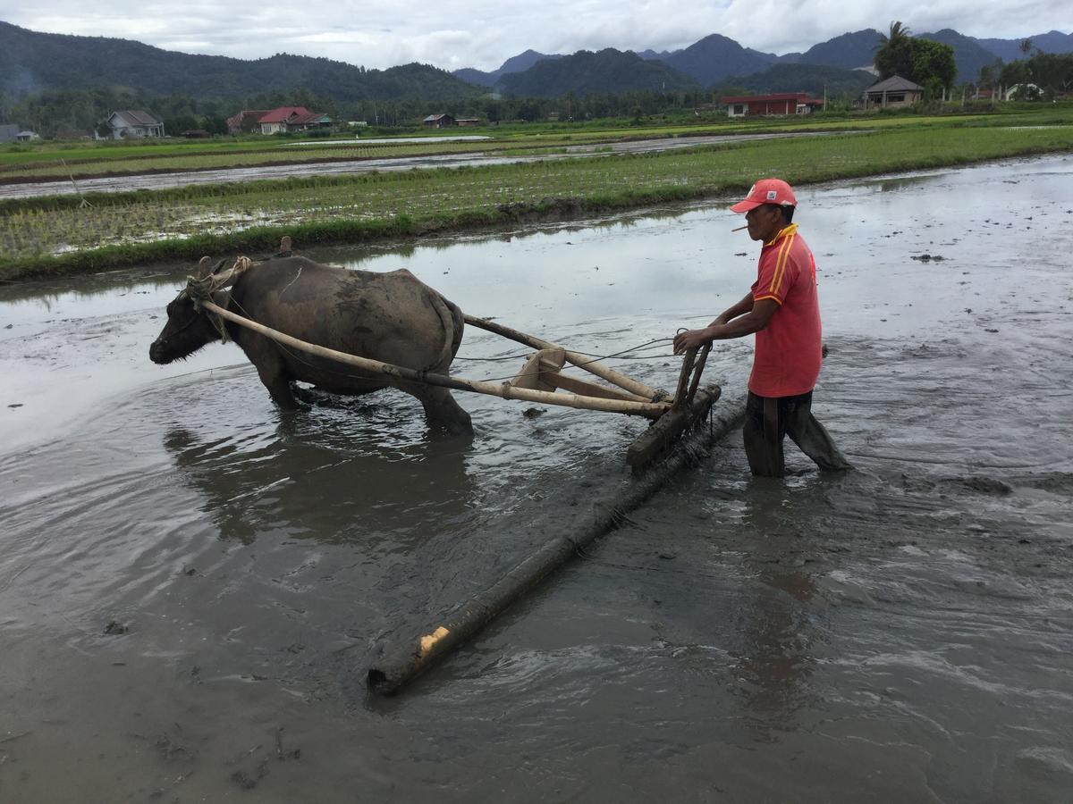 Rumah Pakankamih Bukittinggi Luaran gambar