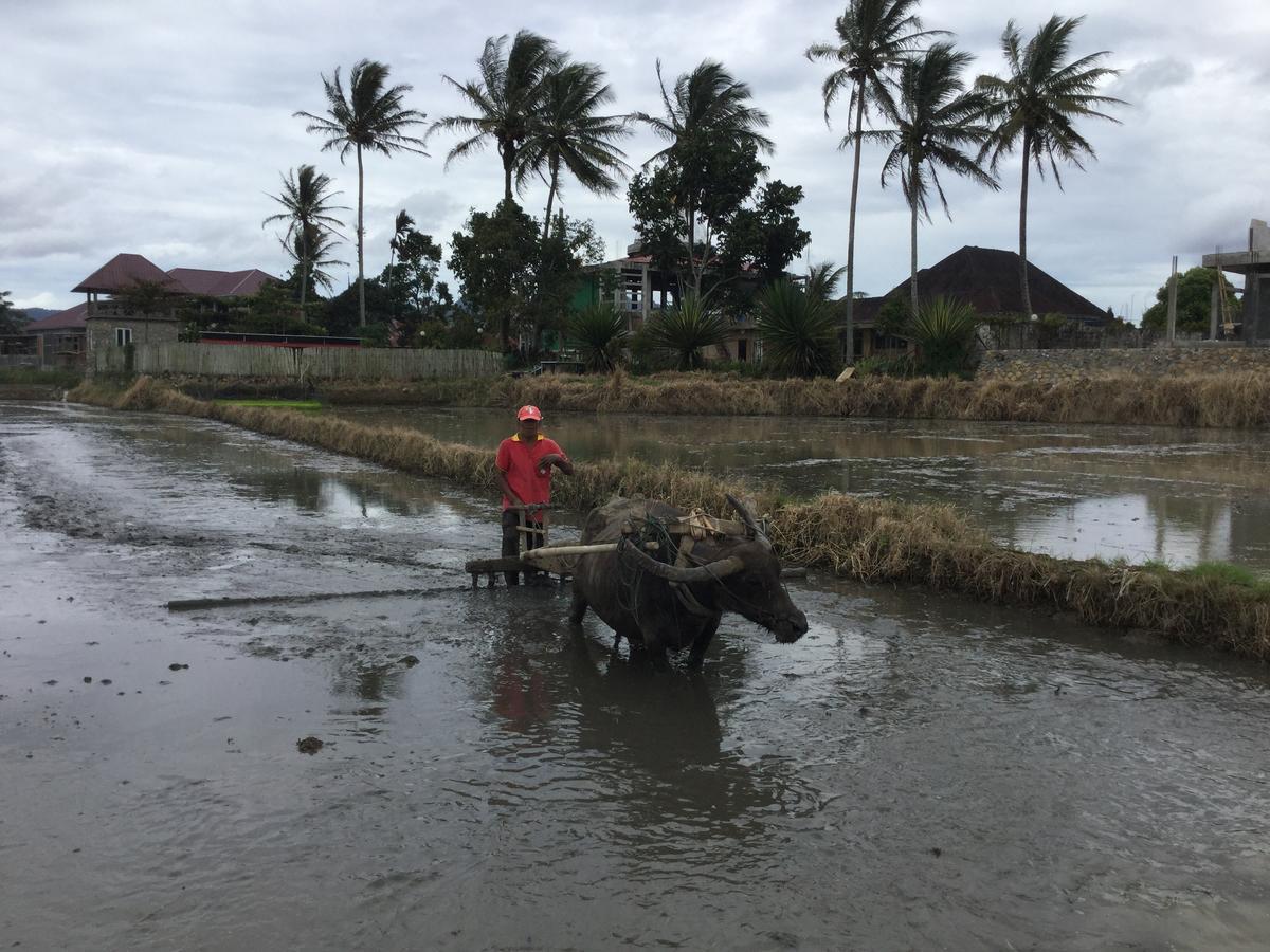 Rumah Pakankamih Bukittinggi Luaran gambar